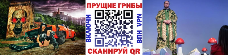 Псилоцибиновые грибы Psilocybine cubensis Буинск